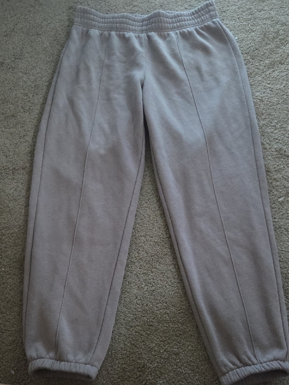 Cozy Fleece Jogger Pants - Light Gray
